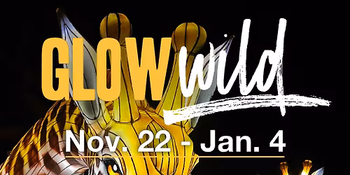 Lights Birmingham Tickets