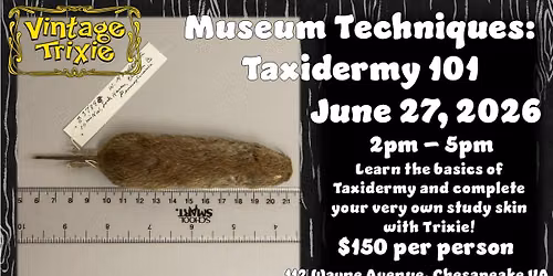 Museum Techniques: Taxidermy 101