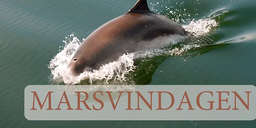 Marsvindagen
