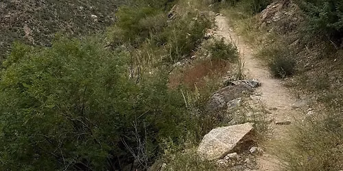 Phoneline Short Loop \u2013 Sabino Canyon