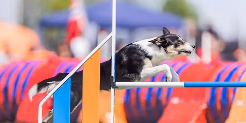 \u00c5pen Hoppstevne 