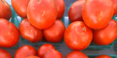 FREE Tomato Sandwich Day