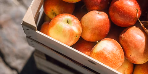 Cider p\u00e5 torvet