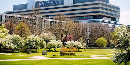 University of Chicago Interventional Pain Medicine Workshop
