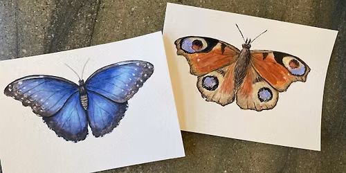 Paint Night - Butterflies