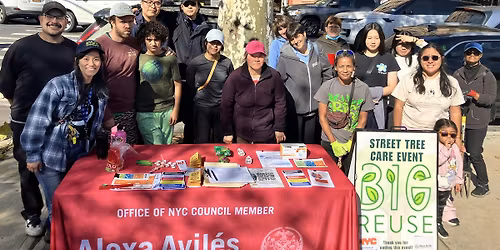 Street Tree Care with Clean Up Sunset Park III