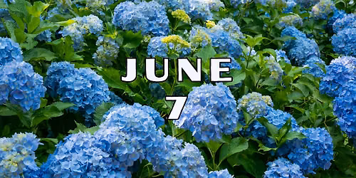 June 7th