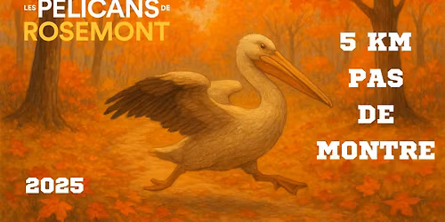 Le 5 km avec pas de montre - 2025