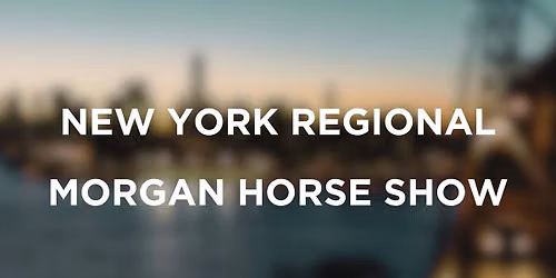 NEW YORK REGIONAL MORGAN HORSE SHOW