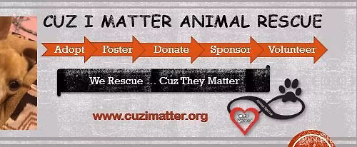 Adoption Event - Tomlinson's Cedar Park