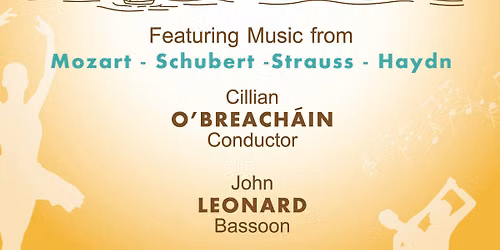 A Viennese summer evening with Greystones Orchestra