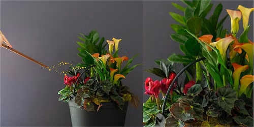 Create Your Own Spooky Cauldron Planter at Mahoney's Brighton