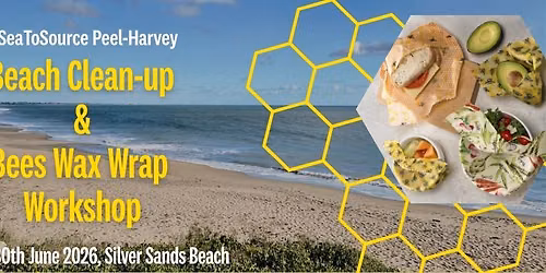 Beach Clean-up & Beeswax Wrap Workshop