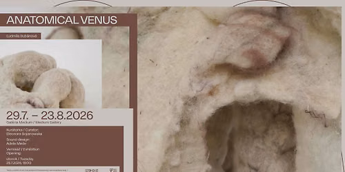 \u013dudmila Bub\u00e1nov\u00e1: Anatomical Venus