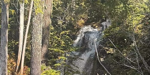 \ud83d\udcabBreathwork and sound healing \ud83d\udcab