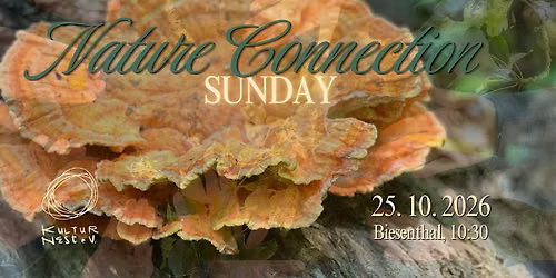 Nature Connection Sunday
