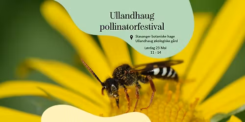 Ullandhaug pollinatorfestival