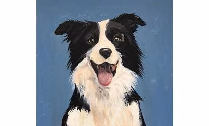 Paint Your Pet!