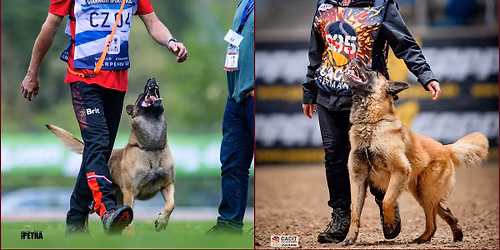 Lednov\u00e1 Double poslu\u0161nost