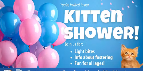 DAS Kitten Shower 