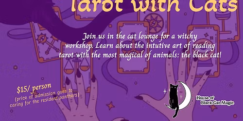 Witchy Workshop: Tarot with Cats