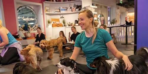 Christmas Yoga with Your Dog at Urban Mutts