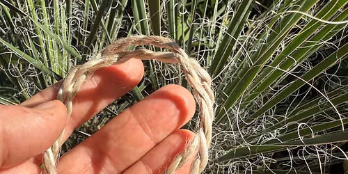 Make Your Own Yucca Fiber Twine