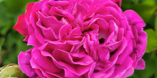 Messages from Spirit: An Afternoon with Shelly Wilson