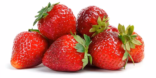 Macclesfield Strawberry Fete