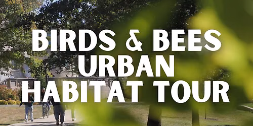 Climate Fest: Birds & Bees Urban Habitat Tour in Downtown UI Campus