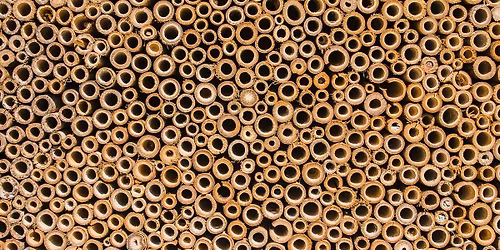 Fabrication d'abris \u00e0 insectes