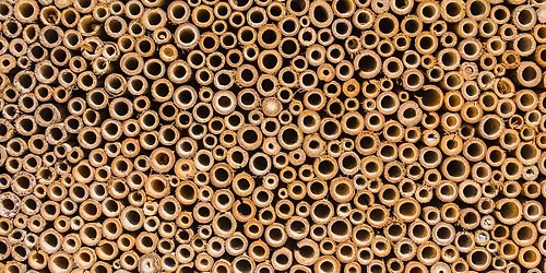 Fabrication d'abris \u00e0 insectes
