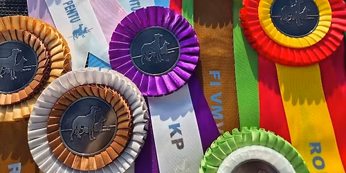 Isojen koirien Match Show