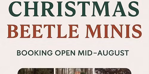 2025 Holiday Minis with Sonja B Photography