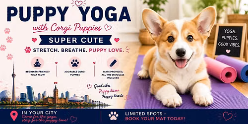 Corgi Puppy Yoga in Markham