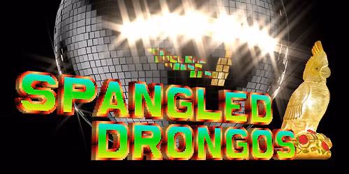 Spangled Drongos - Season Three