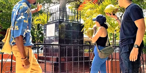 Little Havana: Beyond Cuba Tour