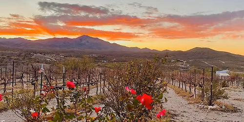 Corey Spector: A WONDERFUL WINE DAY SUNDAY at a SOUTHERN AZ VINEYARD: CHARRON VINEYARDS - VAIL