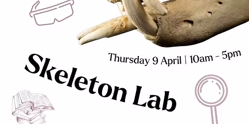 Free Family Event - Skeleton Lab