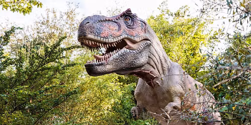 Dinosaurs Around the World: Passport to Pangea