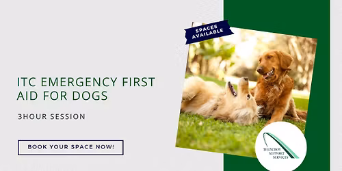 Emergency First Aid for Dogs (3 Hour) - Fully Booked