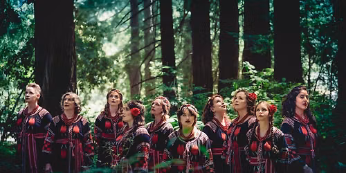 Songs for the Summer Solstice