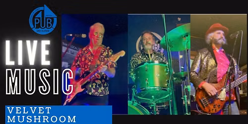 Live Music-Velvet Mushroom Syndicate