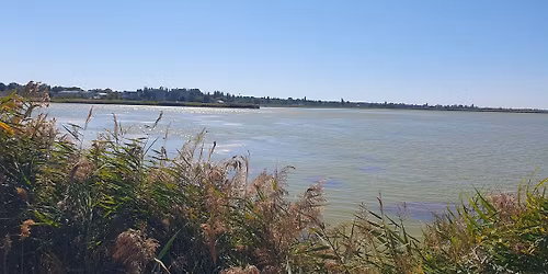 Aikido-Summercamp Velence with Tibor Imrei, 5th Dan Aikikai & Bodo R\u00f6del Shihan, 6th Dan Aikikai 