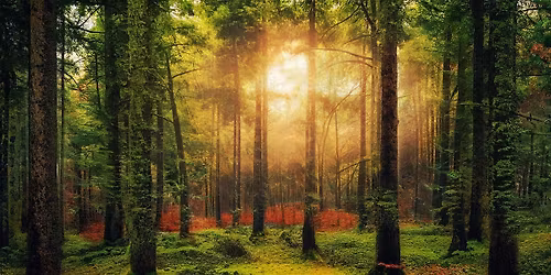 Henkisen tietouden kurssi 1\/4 Anne Eronen ja Teija Purmola