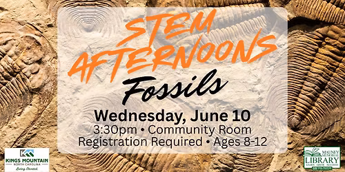 STEM Afternoons: Fossils