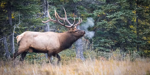 A Night with our Stars