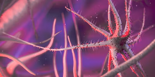 Irrtum erlaubt? \u2013 Das Dilemma des Immunsystems