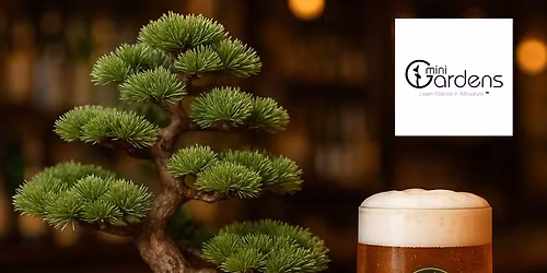 SIP\u2019N\u2019BONSAI