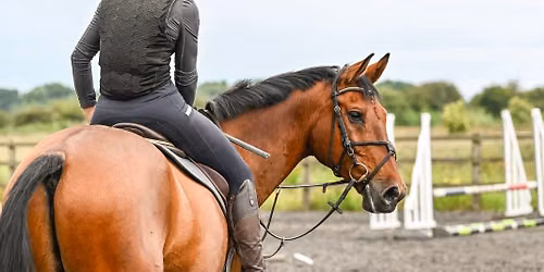 AP EQUESTRIAN AUGUST CAMP